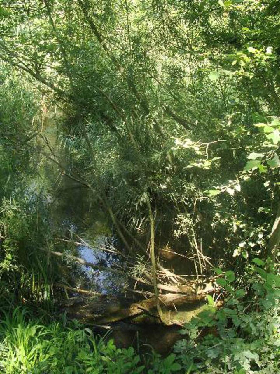 Appartementhaus Loewenzahn Bad Füssing Zewnętrze zdjęcie